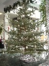 Pfadis singen im Krankenhaus