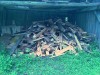 Holz holen
